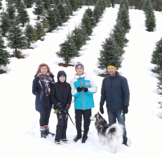 A practical, local approach to property care